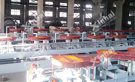 xinhai flotation-plant.jpg